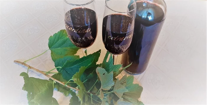 Blackcurrant wine - My, Wine, Beverages, Alcohol, Blackcurrant, Recipe, Video recipe, Video