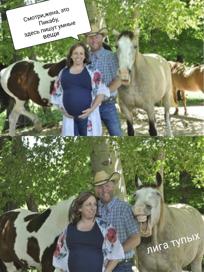 Хотелось создать что-то с этими угарными фотками, сильно не бейте!