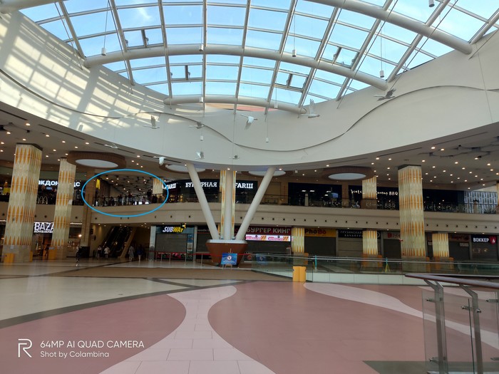 Мак животворящий