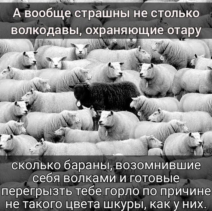 � ���������� ������ ��������� �����