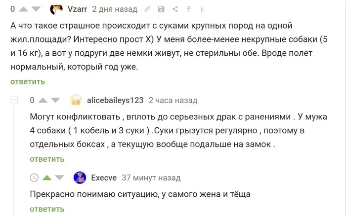 У самого жена и тёща - Скриншот, Комментарии, Комментарии на Пикабу