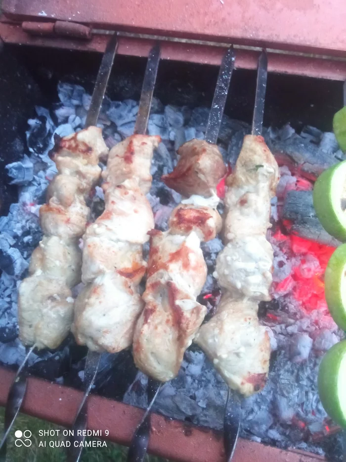 Barbecue Middle Gorki - My, Shashlik, Negative, Longpost