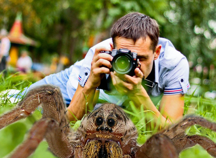 Как изгнать четырехлапых гостей?