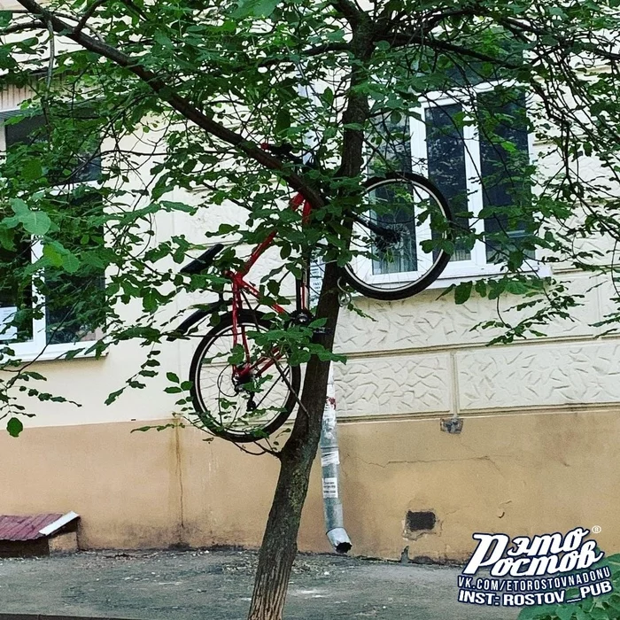 Nothing unusual. Just some Rostov cyclist parked - Humor, Rostov-on-Don, Russia, Positive, The photo, A bike, Interesting