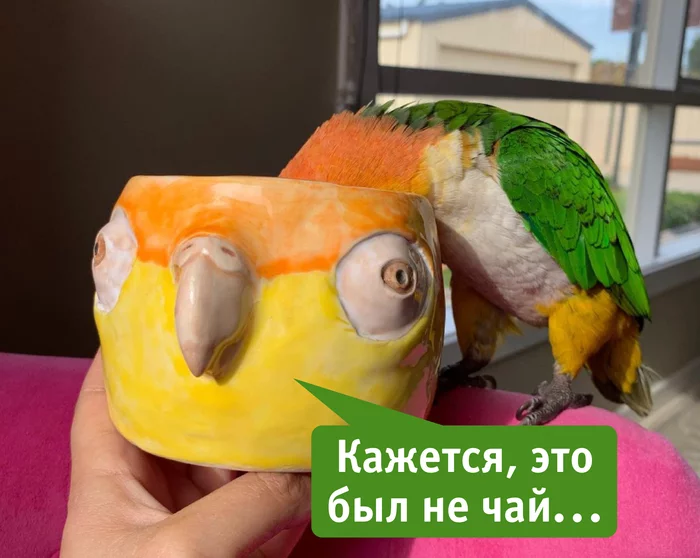 Not tea - My, Humor, A parrot, Кружки, Caik, Picture with text