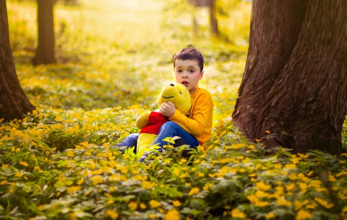 Christopher Robin - My, The photo, Christopher Robin, Winnie the Pooh, Forest, Flowers, Children