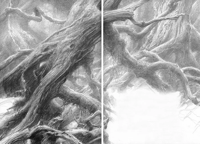 A selection of art on the Lord of the Rings (Fangorn Forest and Ents) - Lord of the Rings, Middle earth, Tolkien's Legendarium, Treebeard, Ents, Illustrations, Art, A selection, Longpost