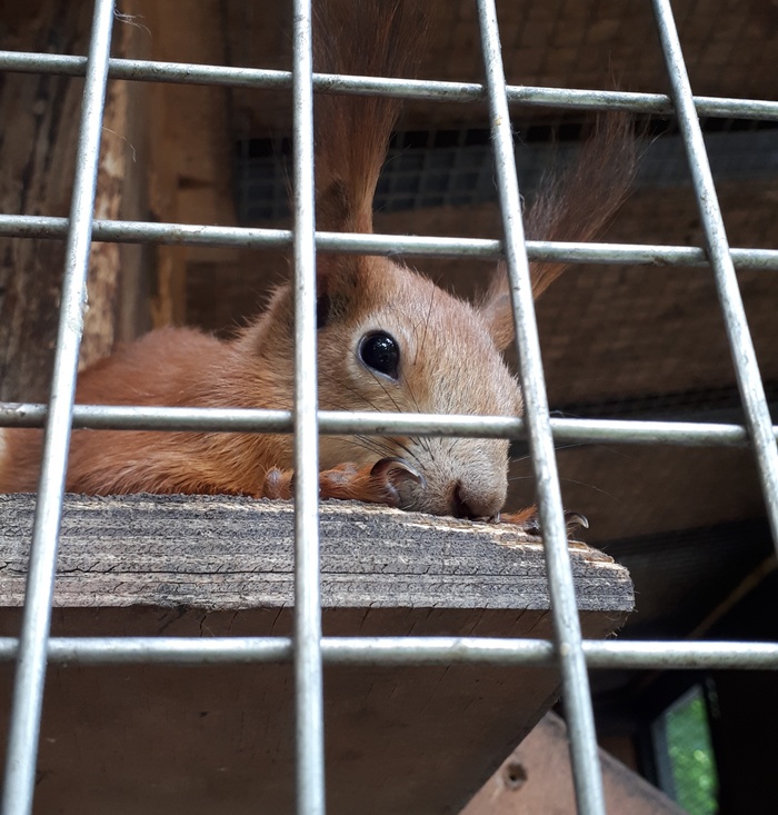 Замуровали демоны