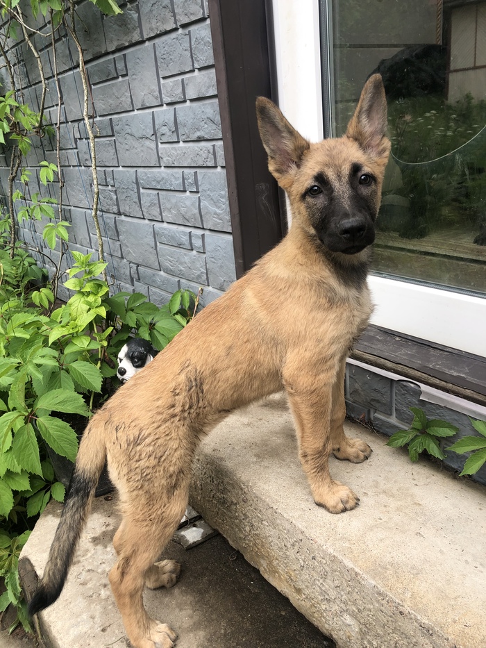 ���� ��� ��� ���������