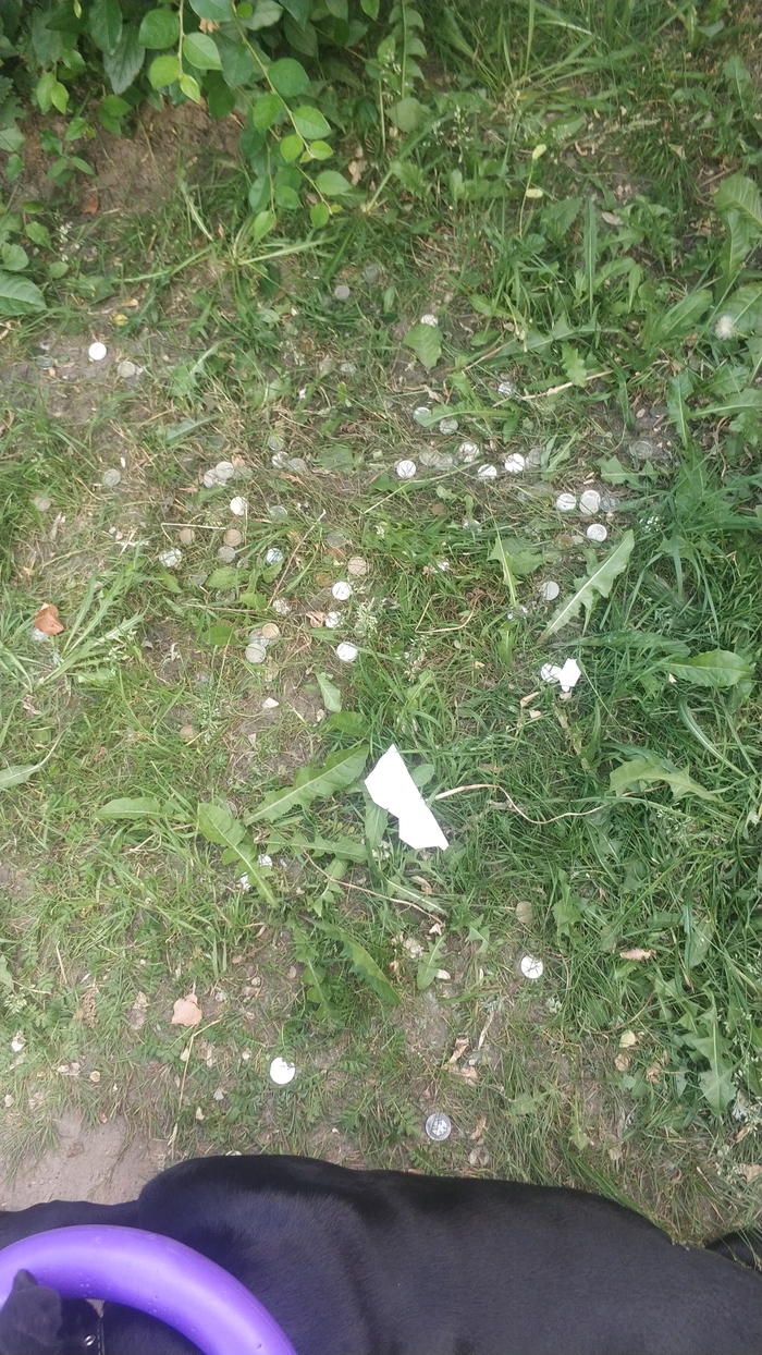  , , , , , , 