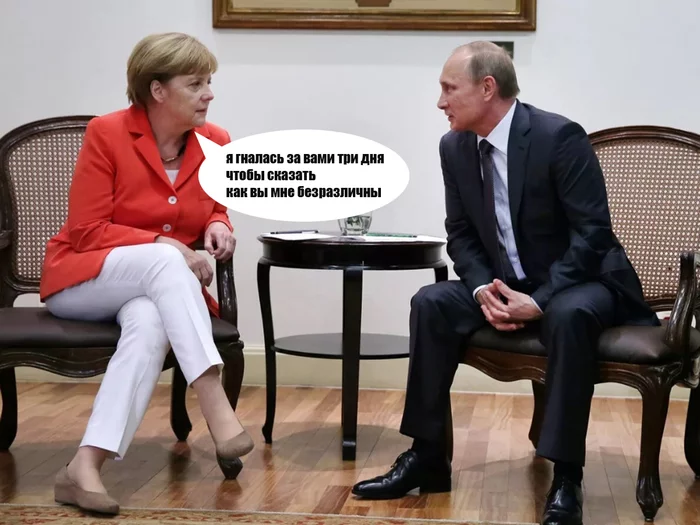 Response to the post Leaders of five European countries refused to participate in the summit of the heads of the European Union with Putin - European Union, Politics, Summit, Humor, Germany, Angela Merkel, Vladimir Putin, Reply to post
