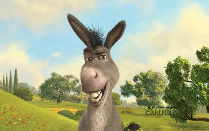 Donkey: An animal with a double bottom. Why horses are not able to replace them? What special abilities do donkeys have? - Donkey, Pets, Animal book, Yandex Zen, GIF, Longpost