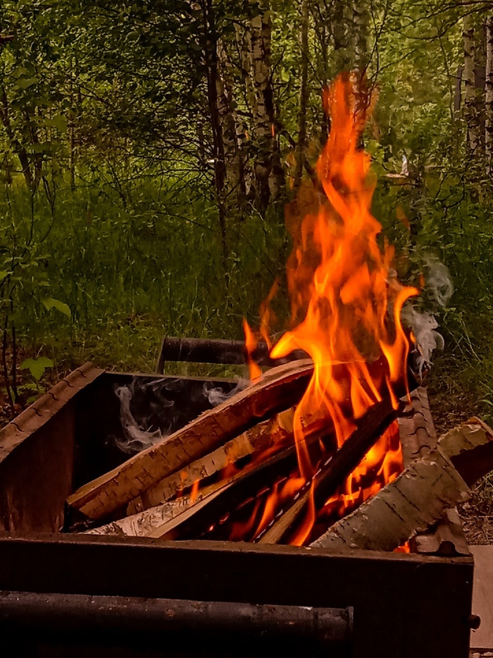 ������������� "����"