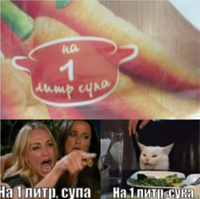 soup - Two women yell at the cat, Memes, Comics, cat