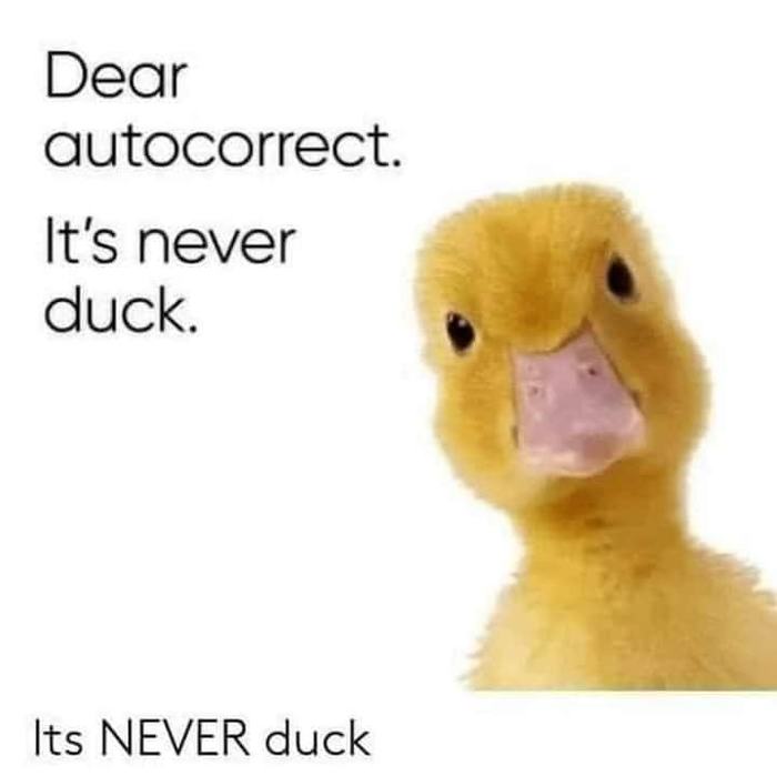 It's NEVER duck  , , 
