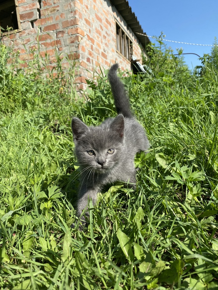  ! ,  ,  , ,   , 