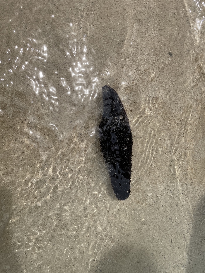 Заброшенный рай Китай, Заброшенное, Остров, Длиннопост Заброшенный рай Китай, Заброшенное, Остров, Длиннопост