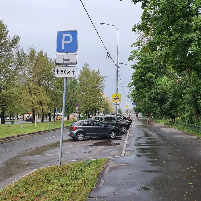 Only naturals see signs and markings - My, Неправильная парковка, Road, Parking