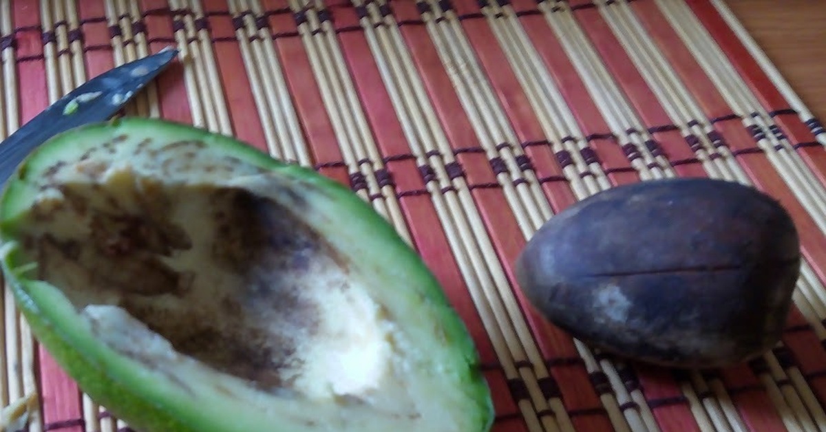 Авокадо темное внутри есть можно. Мякоть авокадо в крапинку. Авокадо мякоть темная. Черные пятна на авокадо внутри. Авокадо внутри.