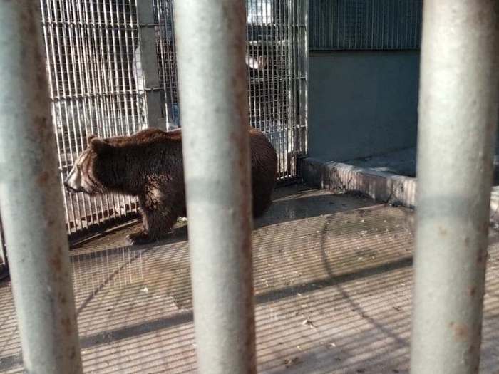 Заметка о пляже на базе отдыха «Троицкое» Клязьминского водохранилища Пляж, Подмосковье, Длиннопост