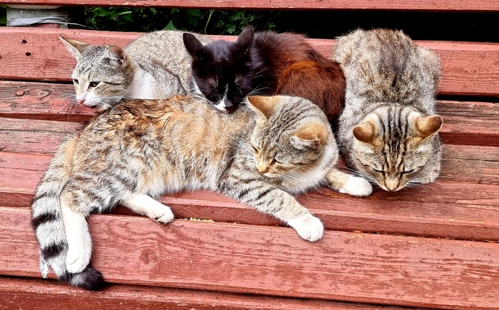 ��� ���� � �������