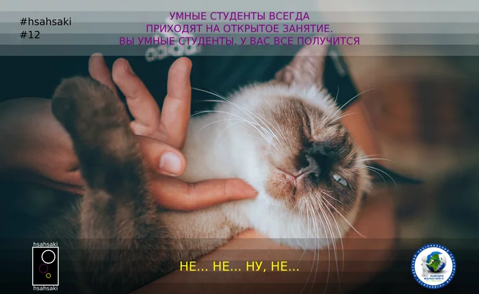 Smart students always come to open classes. You are all smart students - My, University, University, Students, Teacher, Pair, Classes, Проверка, Training, , Group, Manipulation, Animals, cat, Memes, Humor, Picture with text