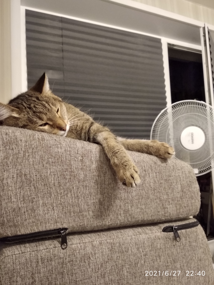 �������