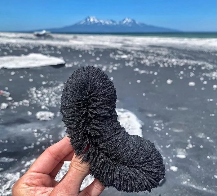 What is it?! - Kurile Islands, Iturup, Beach, Sakhalin Region, Informative