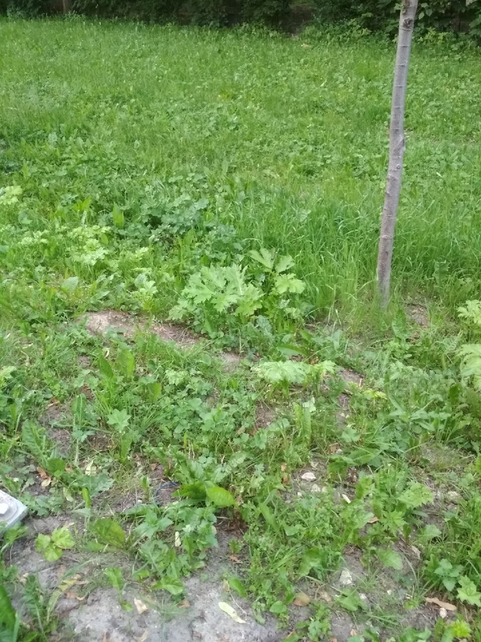         , ,  , , ,  , , , ,  