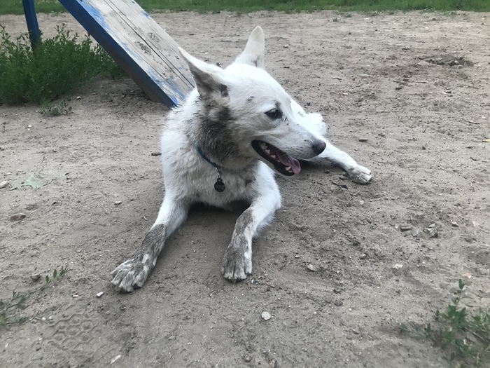 Наигралась