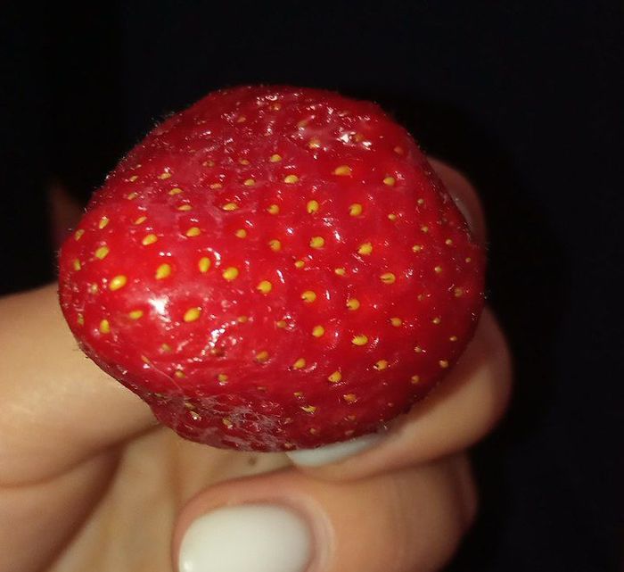 Strawberry) - My, Strawberry (plant), The photo