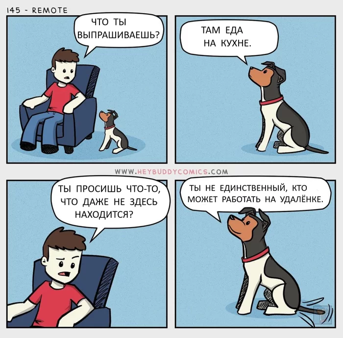 Remote - Comics, Heybuddycomics, Dog, The hosts, Remote work, Translated by myself