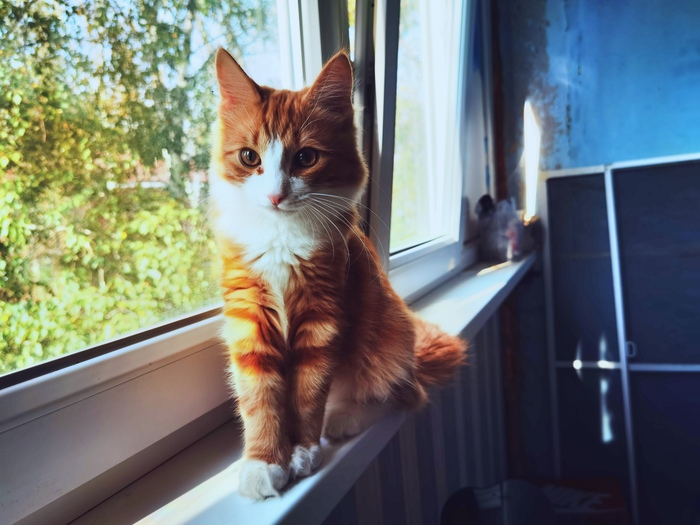   , , , ,  