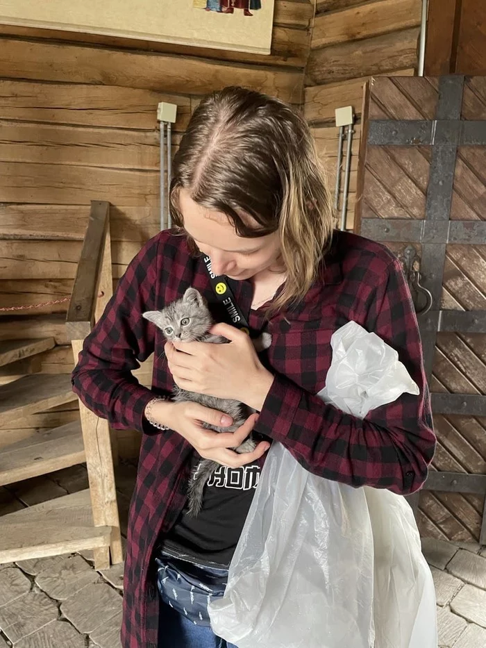 Here we have cat replenishment in the family - My, cat, Kittens, Longpost