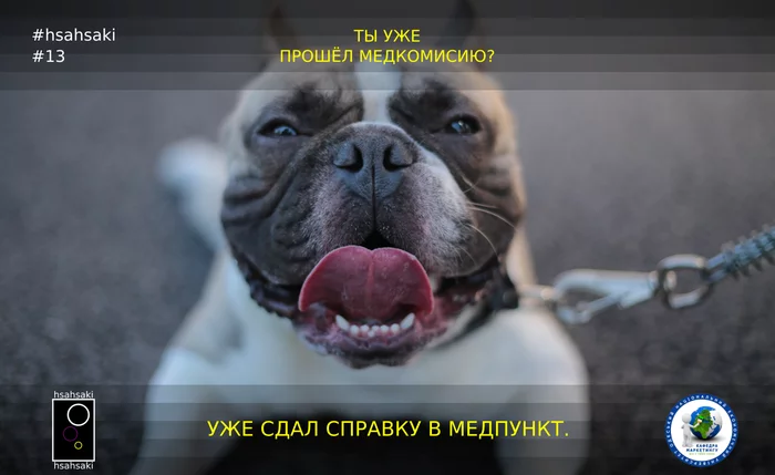 Medical examination passed - My, University, University, Students, Medical board, Animals, Dog, Memes, Humor, , Picture with text