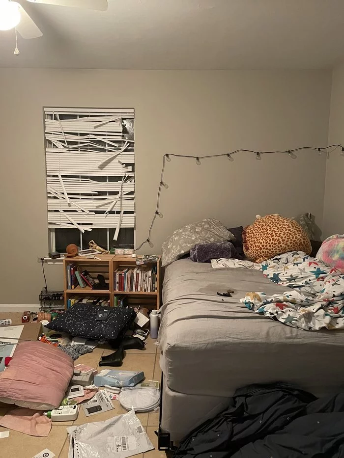 Five raccoons fell into the girl's bedroom from the ceiling and staged a pogrom - Raccoon, Wild animals, Predator, Interesting, USA, Uninvited guests, Video, Longpost