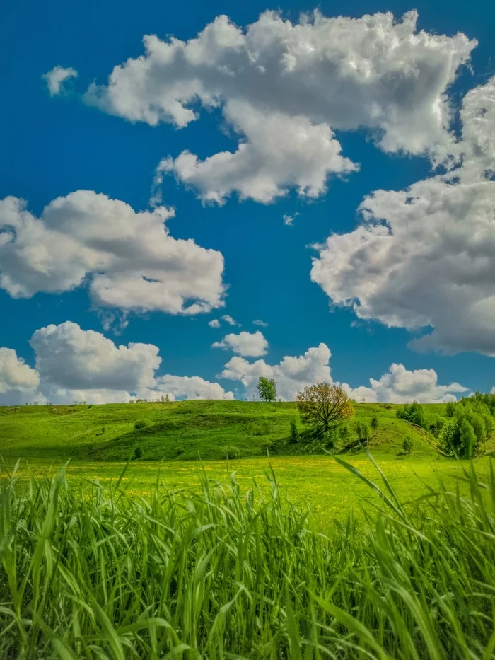 Chuvashia. - My, Mobile photography, Chuvashia, Nature, Greenery, Longpost, The hobbit, Shire, Lord of the Rings