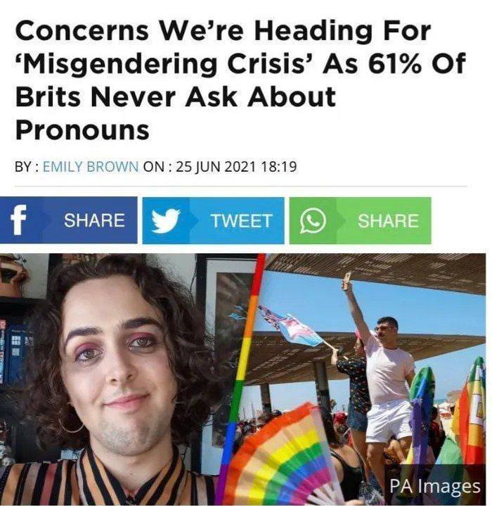 pronoun crisis - Great Britain, LGBT, Pronouns, Tolerance, Political Correctness, Newspeak