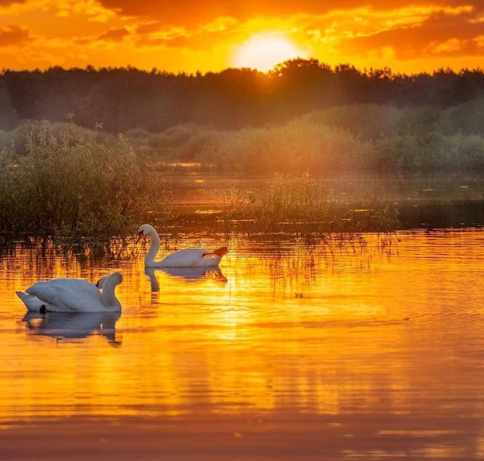 Пушкинские горы, Усадьба Михайловское