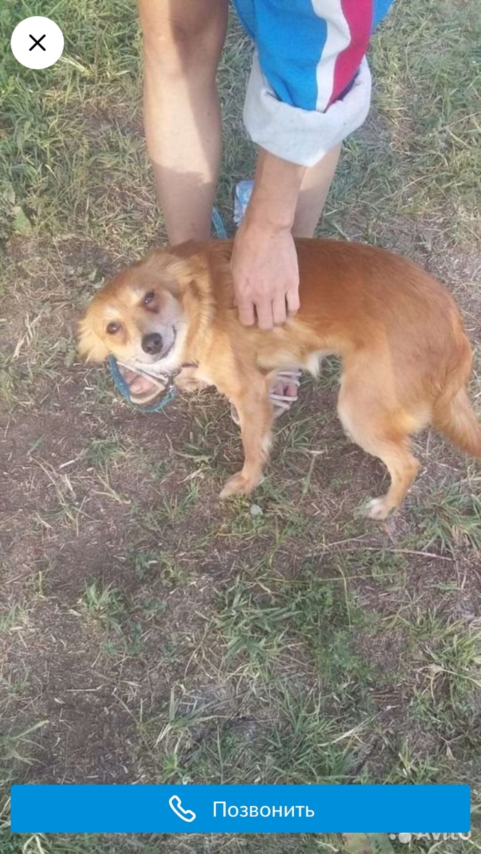 ���� ���