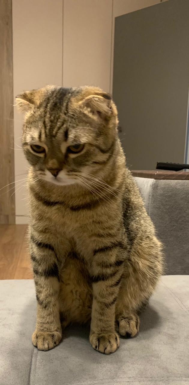 Когда устал от происходящего вокруг