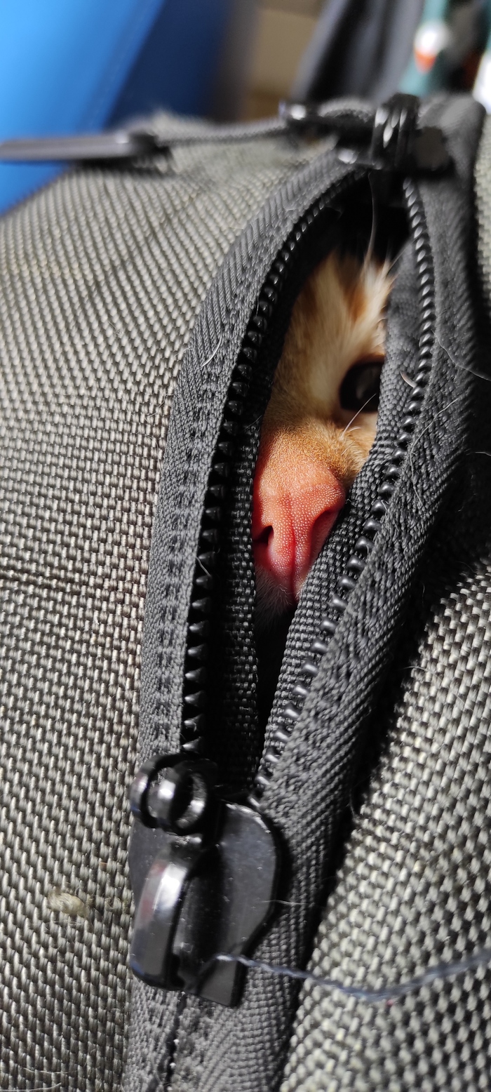 ��� ������