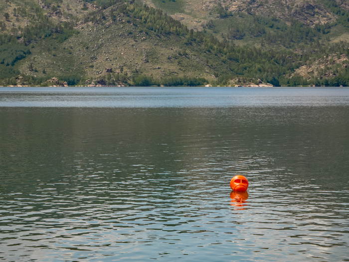 Странное лицо у этого пловца