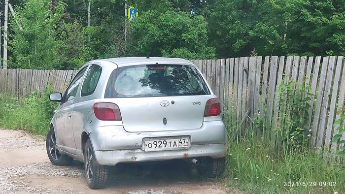 ����� � ���� ������� ������