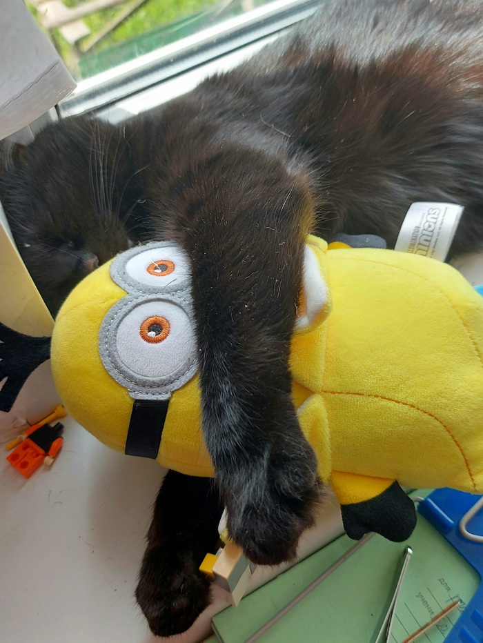 �� ����� ������� ��������