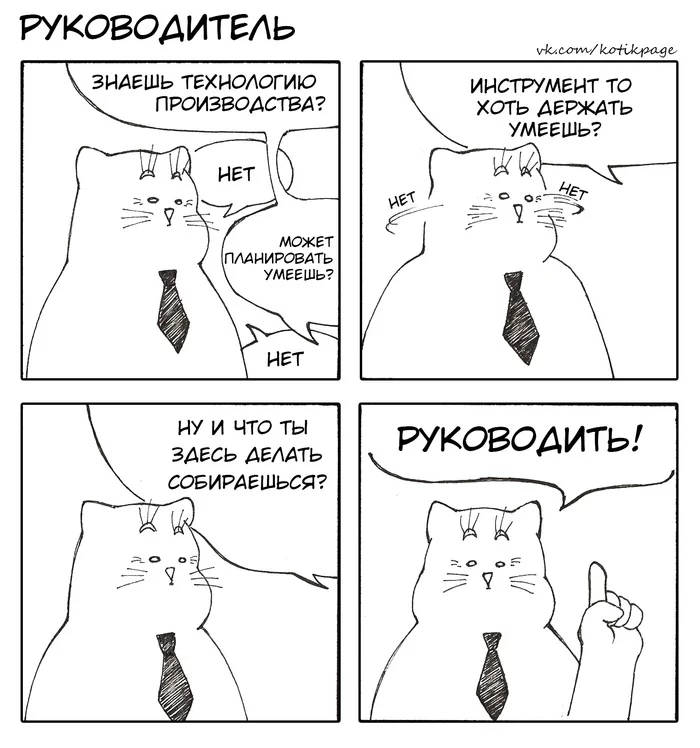 Supervisor - My, cat, Effective manager, Supervisor, Boss, Comics, Bosses