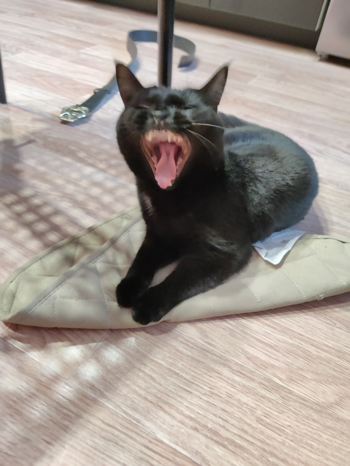 ����� �� ���� ��������� ����� ���� ��������� ���� �� ��������