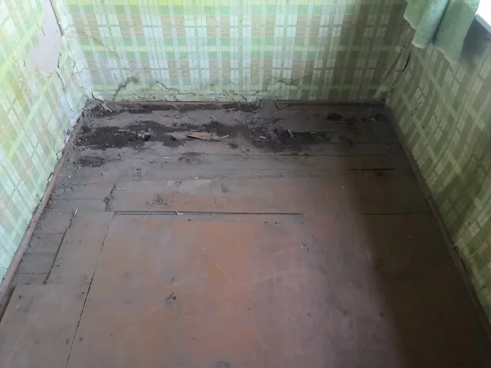 What to do with the floor? - My, Repair, Dacha, Longpost