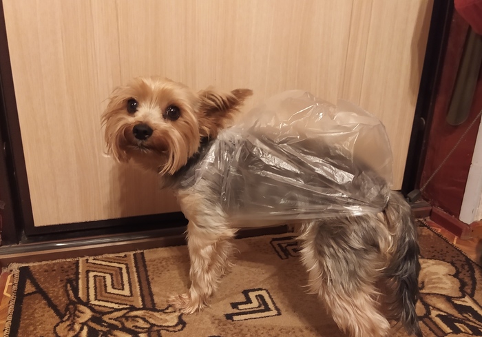 Самый модный на районе...