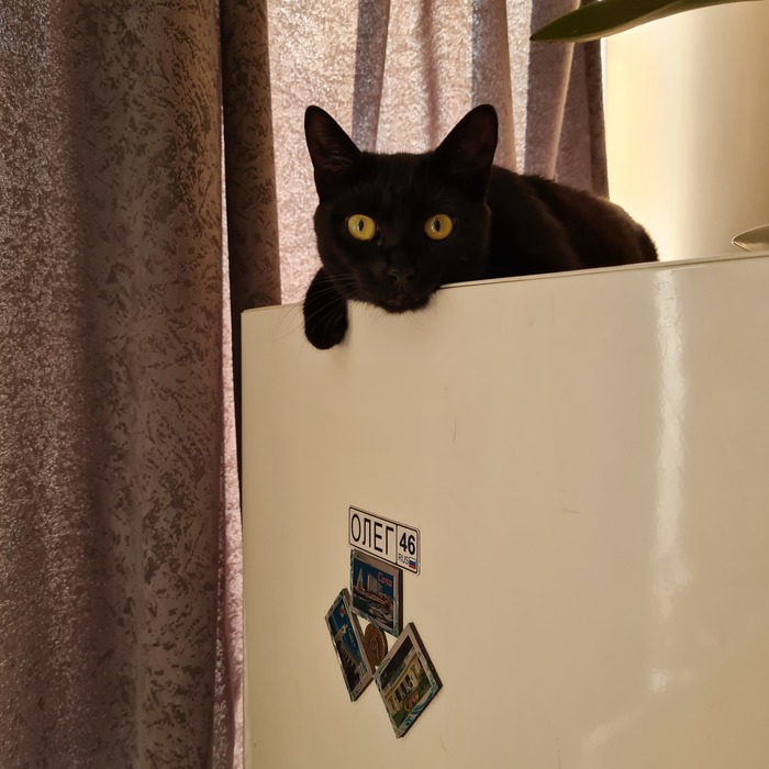 ���� �� ��� �������, � ��������)))